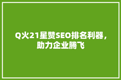 Q火21星赞SEO排名利器，助力企业腾飞