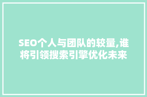 SEO个人与团队的较量,谁将引领搜索引擎优化未来
