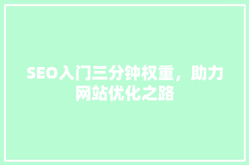 SEO入门三分钟权重，助力网站优化之路