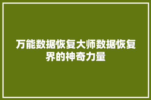 万能数据恢复大师数据恢复界的神奇力量