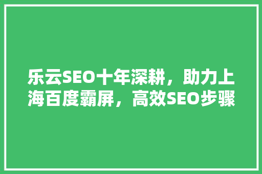 乐云SEO十年深耕，助力上海百度霸屏，高效SEO步骤