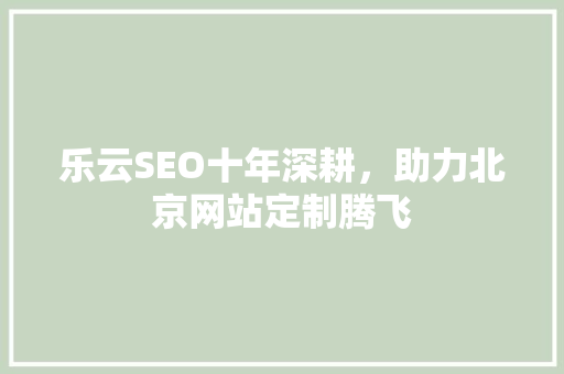 乐云SEO十年深耕，助力北京网站定制腾飞