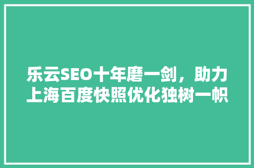 乐云SEO十年磨一剑，助力上海百度快照优化独树一帜