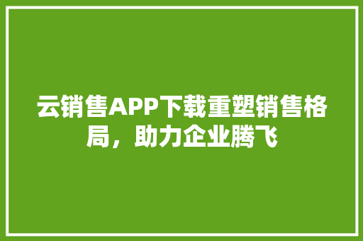 云销售APP下载重塑销售格局，助力企业腾飞