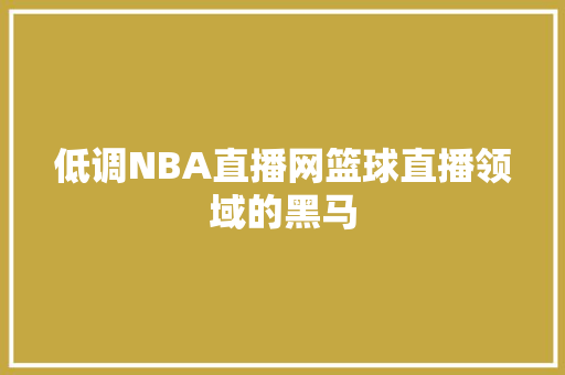 低调NBA直播网篮球直播领域的黑马