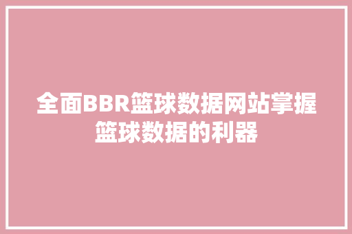 全面BBR篮球数据网站掌握篮球数据的利器