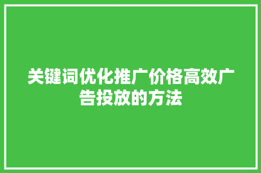 关键词优化推广价格高效广告投放的方法