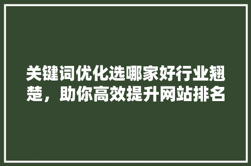 关键词优化选哪家好行业翘楚，助你高效提升网站排名