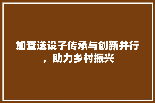 加查送设子传承与创新并行，助力乡村振兴