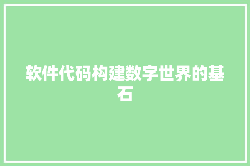 软件代码构建数字世界的基石
