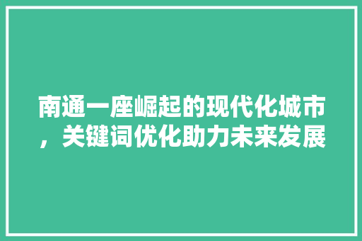 南通一座崛起的现代化城市，关键词优化助力未来发展