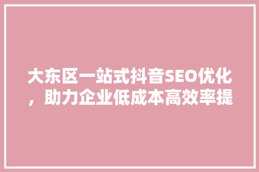 大东区一站式抖音SEO优化，助力企业低成本高效率提升品牌知名度
