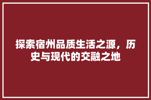 探索宿州品质生活之源，历史与现代的交融之地