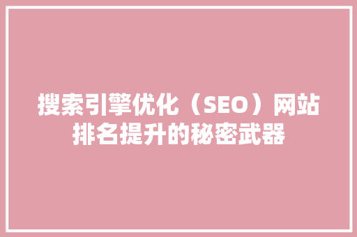 搜索引擎优化（SEO）网站排名提升的秘密武器