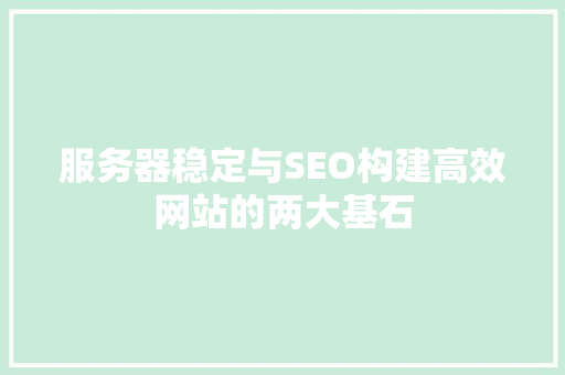 服务器稳定与SEO构建高效网站的两大基石
