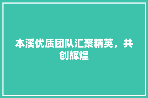 本溪优质团队汇聚精英，共创辉煌