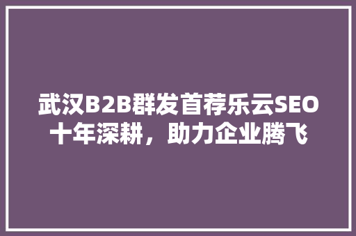武汉B2B群发首荐乐云SEO十年深耕，助力企业腾飞