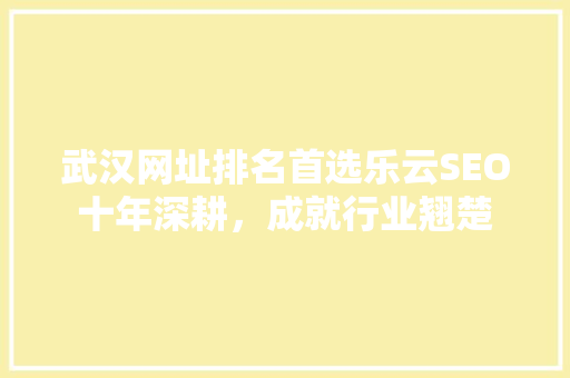武汉网址排名首选乐云SEO十年深耕，成就行业翘楚