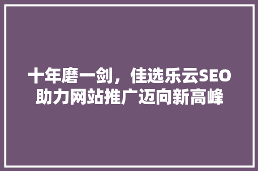 十年磨一剑，佳选乐云SEO助力网站推广迈向新高峰