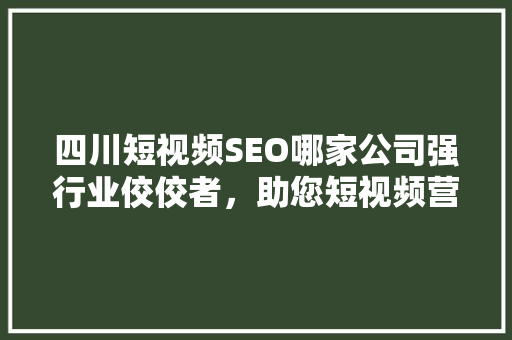 四川短视频SEO哪家公司强行业佼佼者，助您短视频营销一臂之力