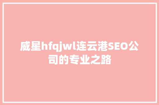 威星hfqjwl连云港SEO公司的专业之路