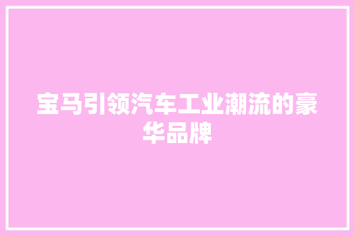 宝马引领汽车工业潮流的豪华品牌