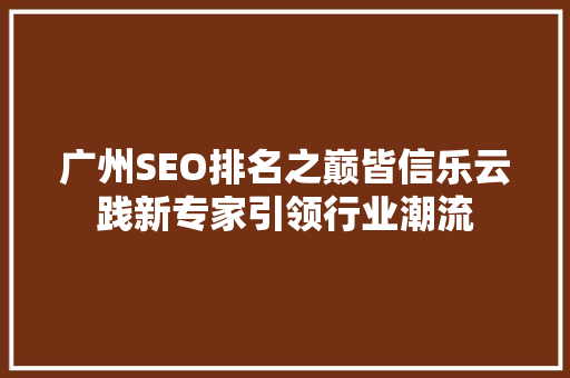 广州SEO排名之巅皆信乐云践新专家引领行业潮流