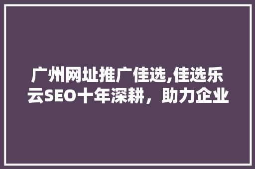 广州网址推广佳选,佳选乐云SEO十年深耕，助力企业腾飞
