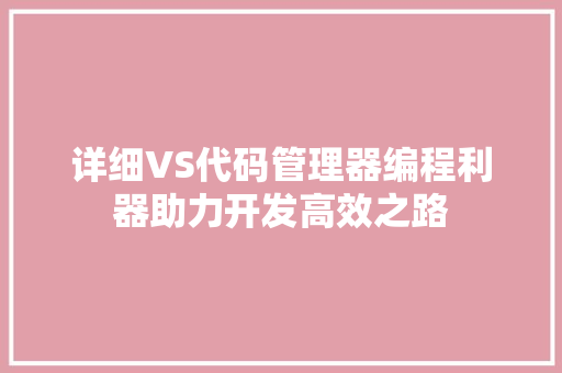 详细VS代码管理器编程利器助力开发高效之路