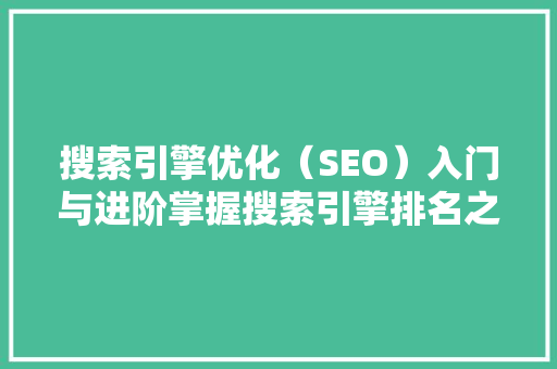 搜索引擎优化（SEO）入门与进阶掌握搜索引擎排名之路
