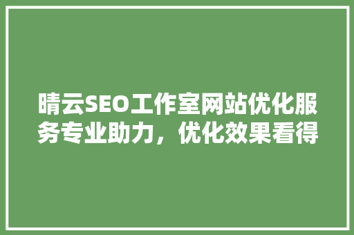晴云SEO工作室网站优化服务专业助力，优化效果看得见