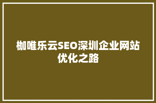 枷唯乐云SEO深圳企业网站优化之路