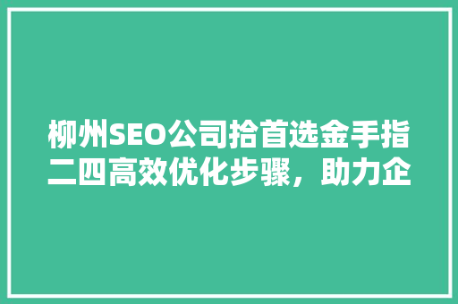 柳州SEO公司拾首选金手指二四高效优化步骤，助力企业腾飞