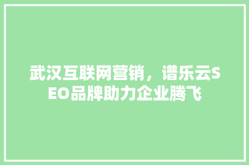 武汉互联网营销，谱乐云SEO品牌助力企业腾飞