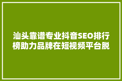 汕头靠谱专业抖音SEO排行榜助力品牌在短视频平台脱颖而出