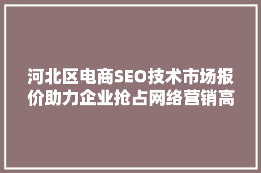 河北区电商SEO技术市场报价助力企业抢占网络营销高地