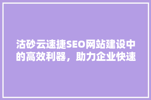 沽砂云速捷SEO网站建设中的高效利器，助力企业快速提升在线竞争力