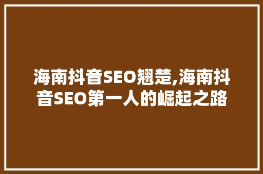 海南抖音SEO翘楚,海南抖音SEO第一人的崛起之路