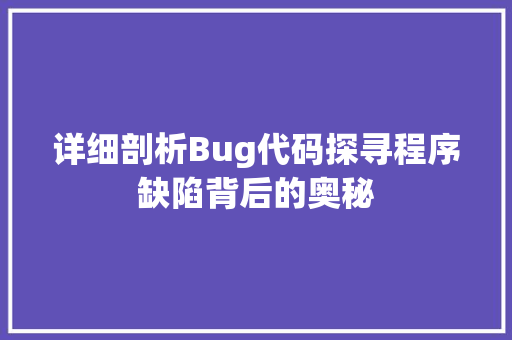 详细剖析Bug代码探寻程序缺陷背后的奥秘