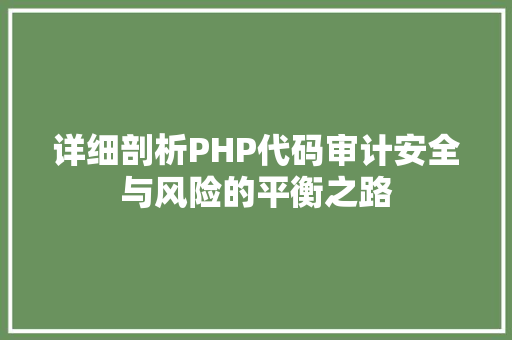 详细剖析PHP代码审计安全与风险的平衡之路