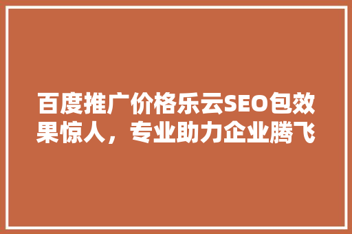 百度推广价格乐云SEO包效果惊人，专业助力企业腾飞