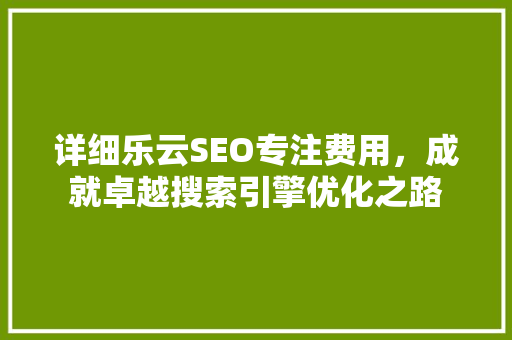 详细乐云SEO专注费用，成就卓越搜索引擎优化之路