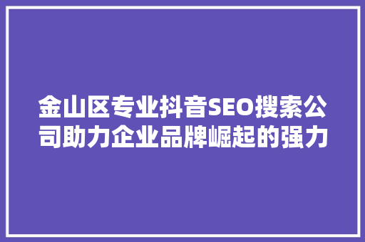 金山区专业抖音SEO搜索公司助力企业品牌崛起的强力助手