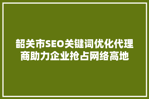 韶关市SEO关键词优化代理商助力企业抢占网络高地