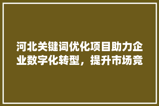 河北关键词优化项目助力企业数字化转型，提升市场竞争力_河北关键词优化项目
