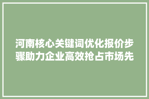 河南核心关键词优化报价步骤助力企业高效抢占市场先机_河南核心关键词优化报价