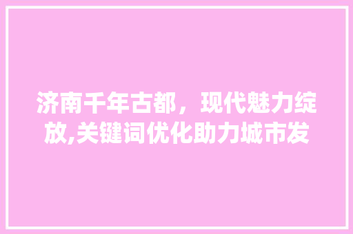 济南千年古都，现代魅力绽放,关键词优化助力城市发展_济南关键词优化效果