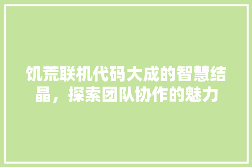 饥荒联机代码大成的智慧结晶，探索团队协作的魅力
