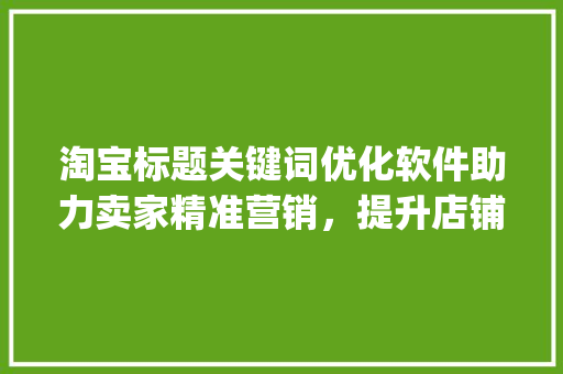 淘宝标题关键词优化软件助力卖家精准营销，提升店铺流量与转化率_淘宝标题关键词优化软件