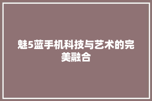 魅5蓝手机科技与艺术的完美融合